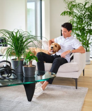 Indoor Plant Bundles