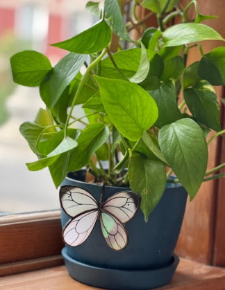 Plants Made Simple