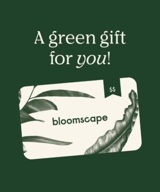 Plants Made Simple