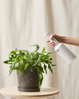 Plants Made Simple
