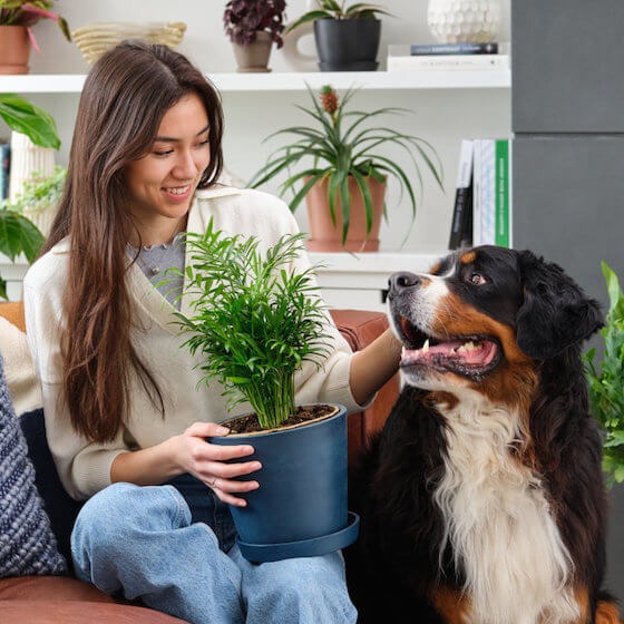 Plants Made Simple