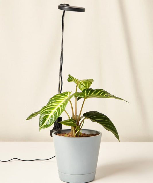 Adjustable LED Grow Light