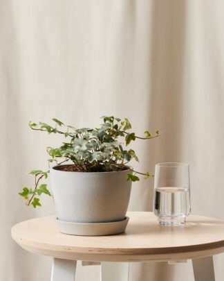 Plants Made Simple