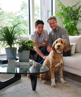 Indoor Plant Bundles