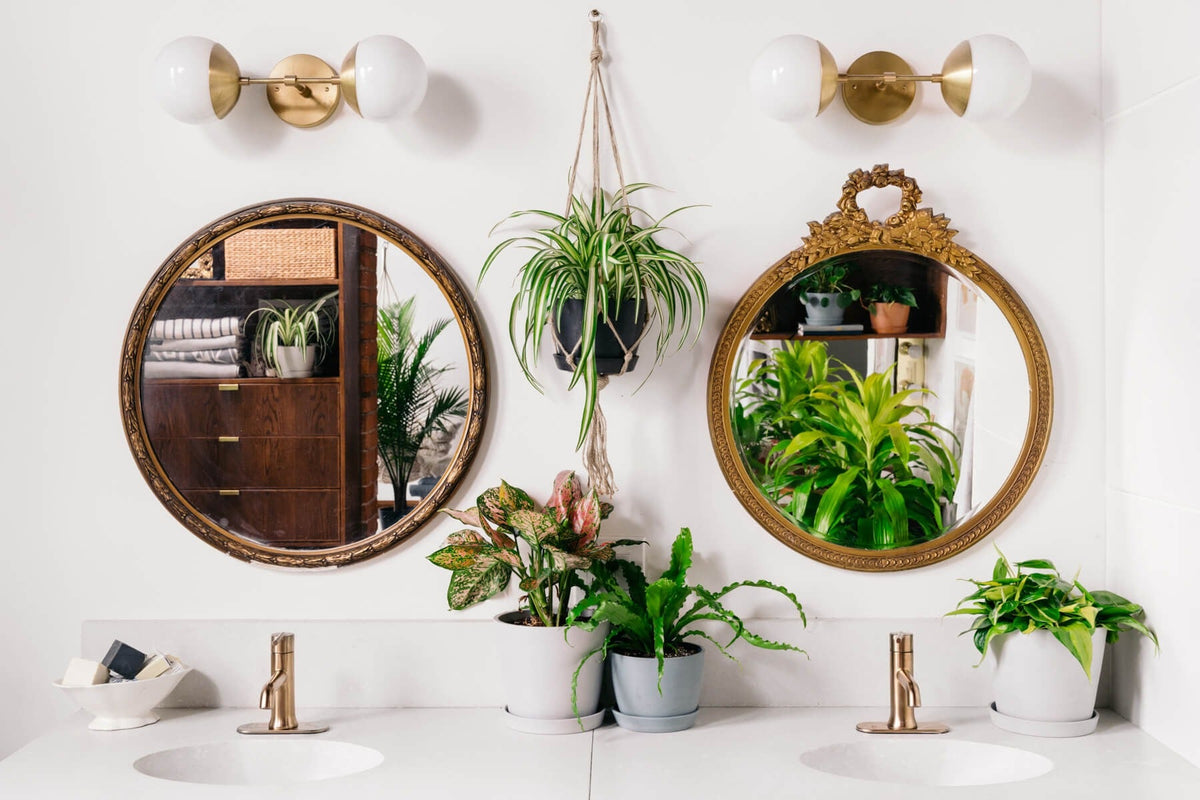Plants Made Simple