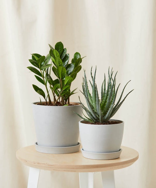 Beginner Bundle